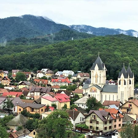 Mountain View Escape Leilighet Braşov Eksteriør bilde